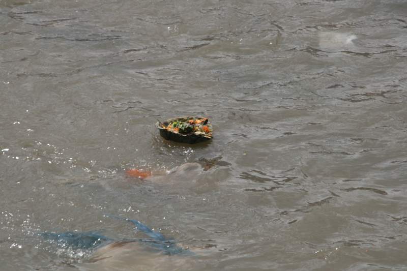 India & Nepal 2011 - 0242